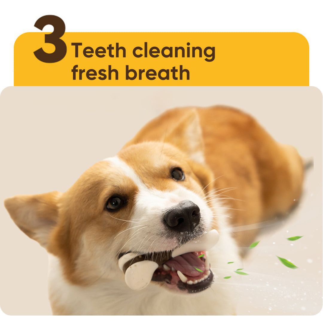 Pet Teeth-Cleaning Chew Toy