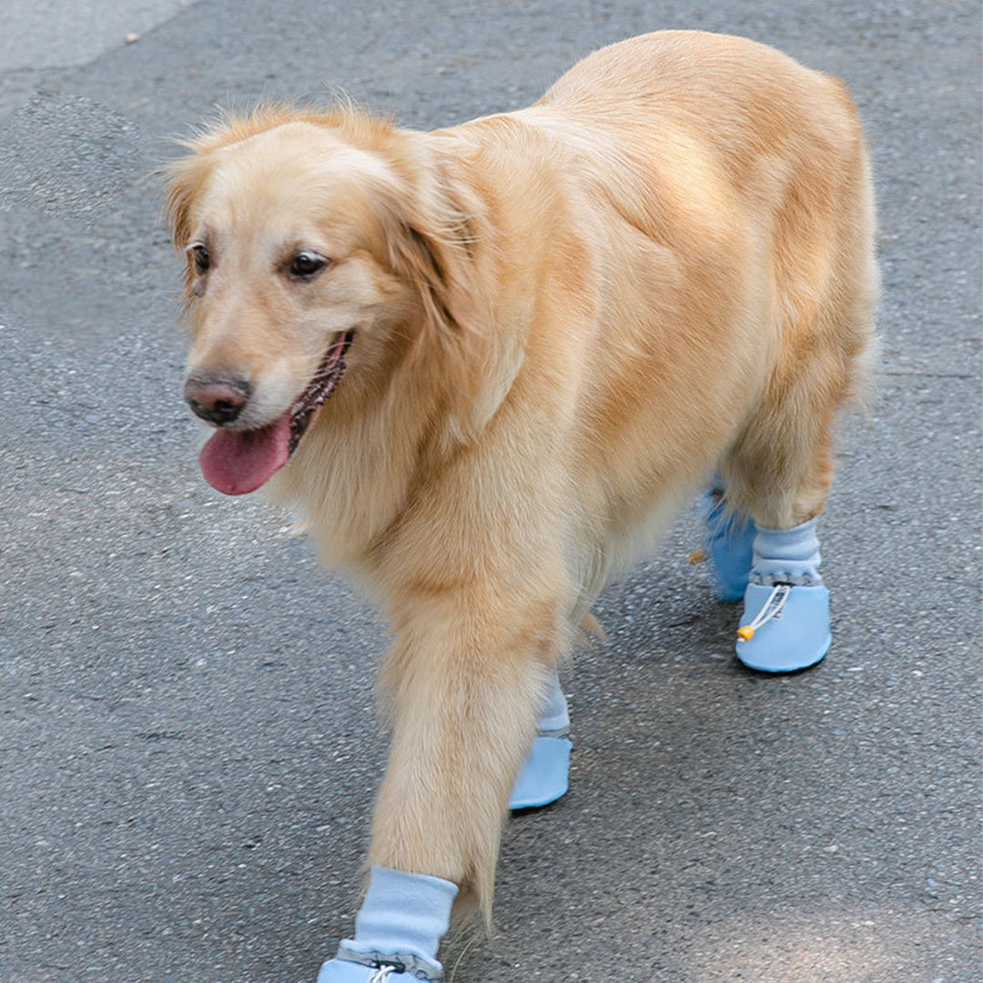 Dog Shoes for Large Dog