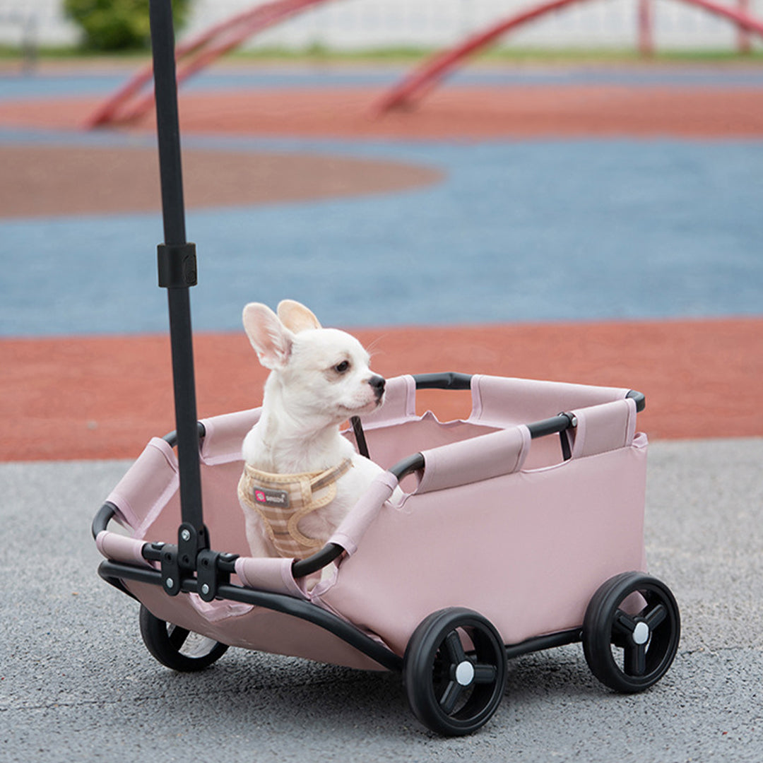 Portable Folding Pet Stroller for Small Dog