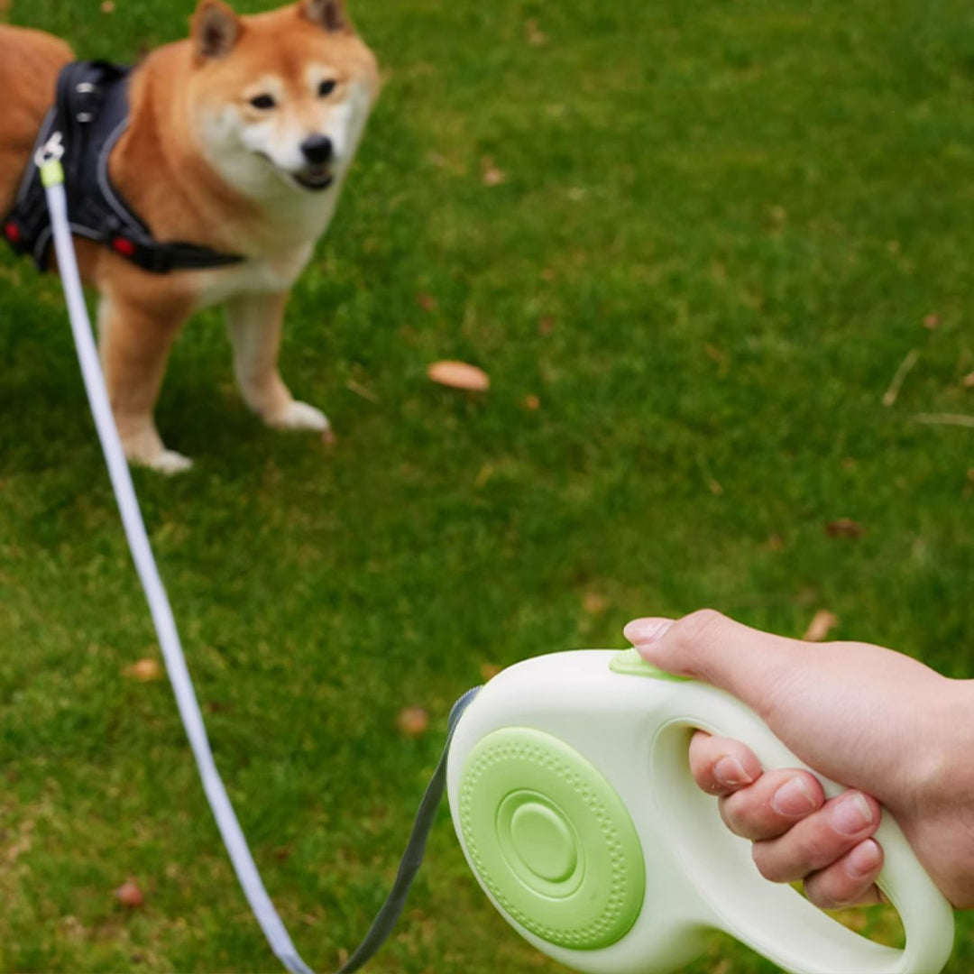 Retractable Dog Leash with LED Flashlight