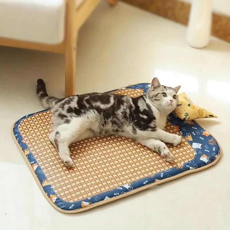 Summer Pet Rattan Mat with Detachable Pillow