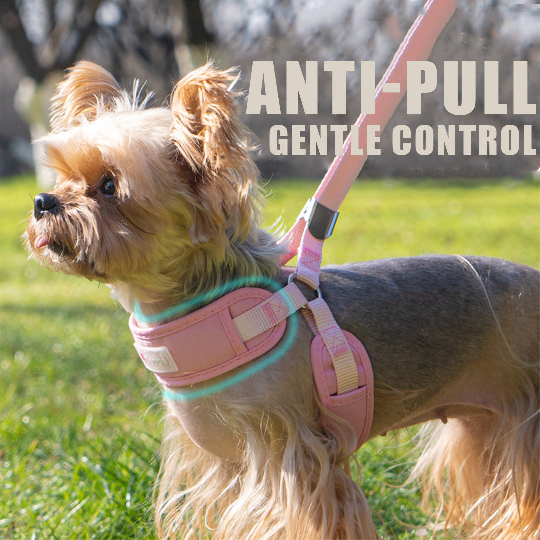 Comfy Y-Shaped Harness for Small Pets