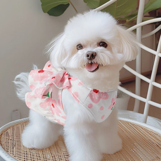 Cute Summer Dog Dress with Leash
