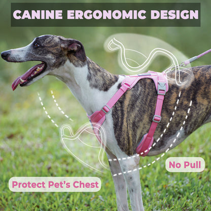 Comfy Breathable Adjustable Harness