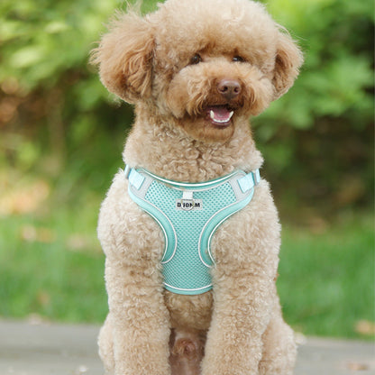 Soft Mesh Dog Harness and Leash Set