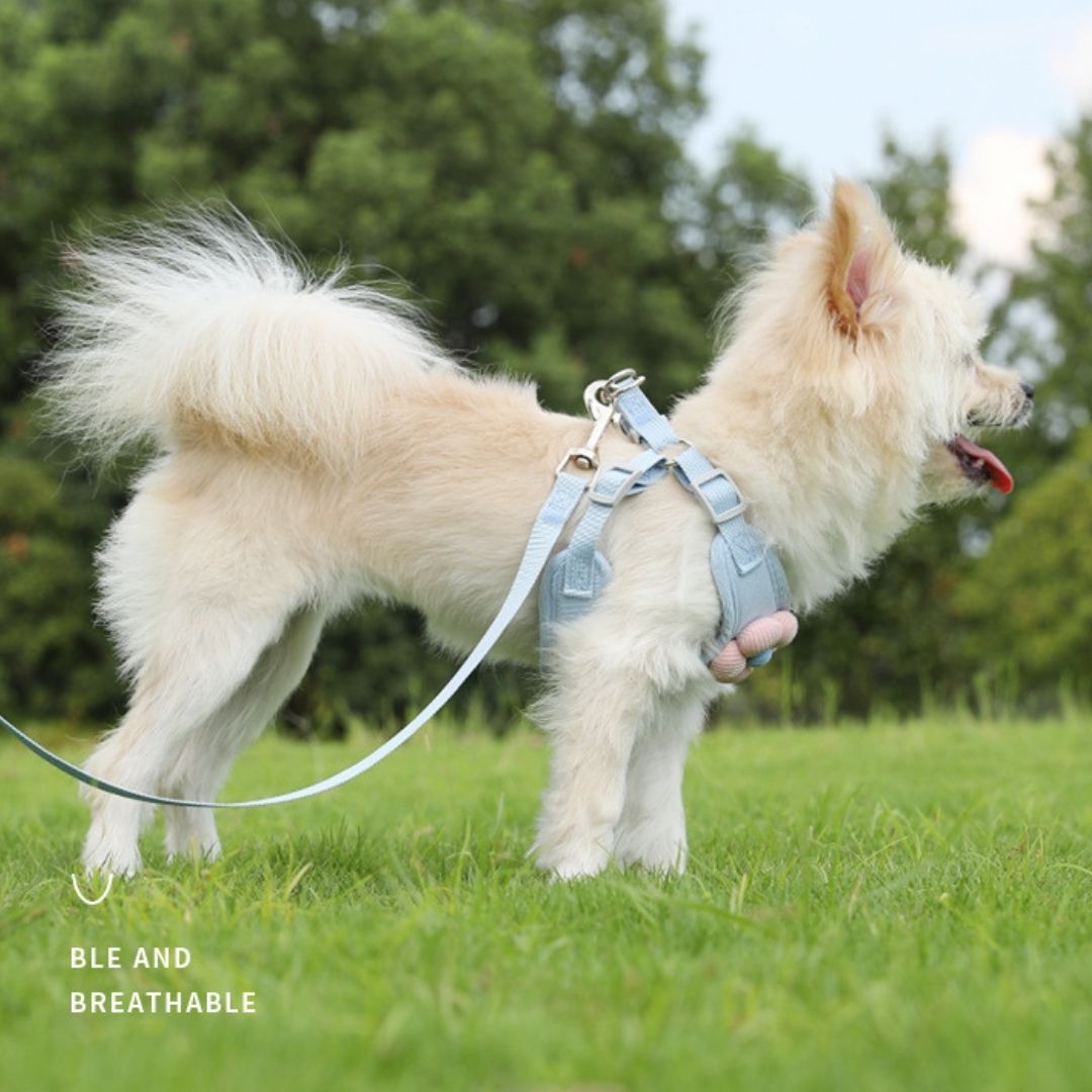 Cute 3D Flower Breathable Dog Harness