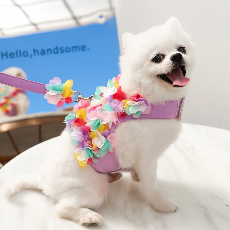 Summer Floral Lace Pet Leashable Clothing