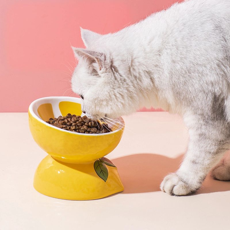 Fruit-Themed Pet Ceramic Bowl