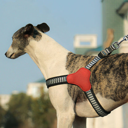 Y-Shaped Adjustable Harness for Dogs