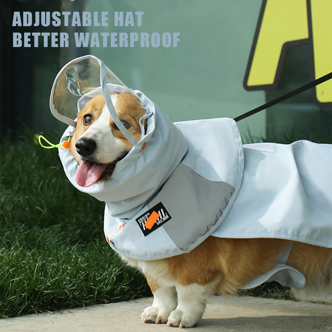 Snug Raincoat for Small to Medium Dog