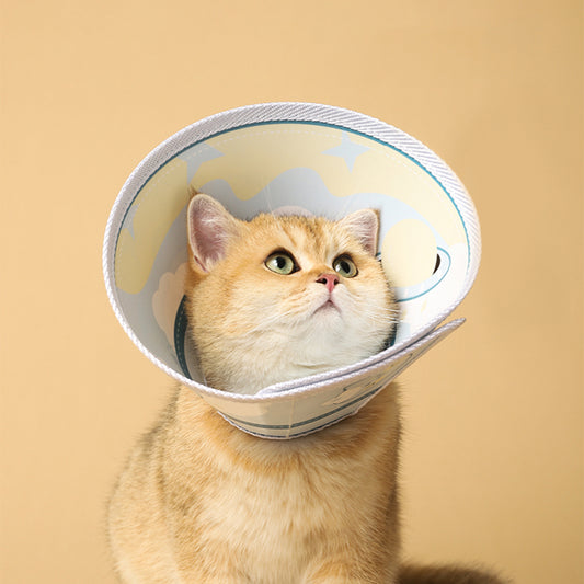 Elizabethan Collar for cats