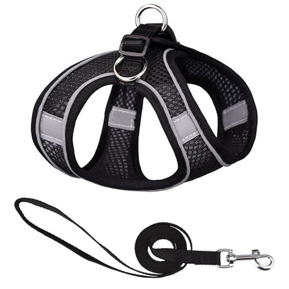 One-Piece Breathable Harness and Leash Set