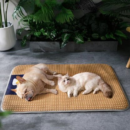 Pet Spring and Summer Cooling Mat