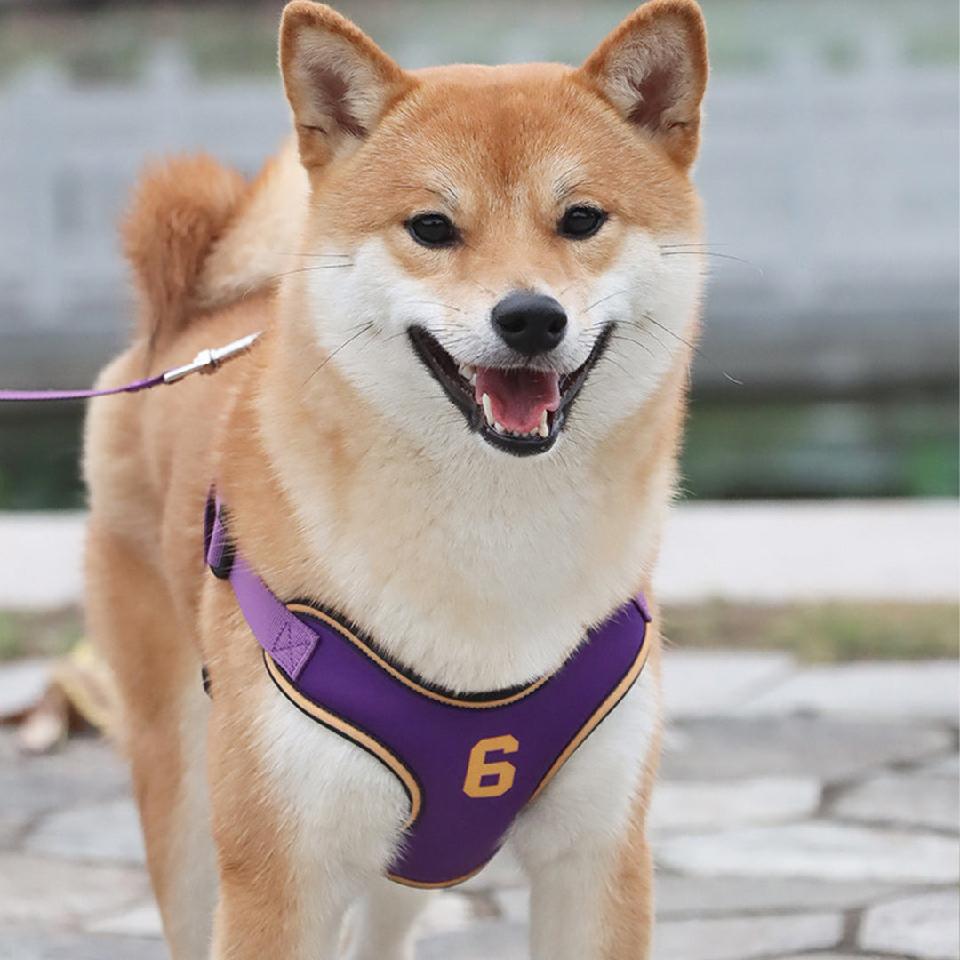 Classic Basketball Style Dog Harness