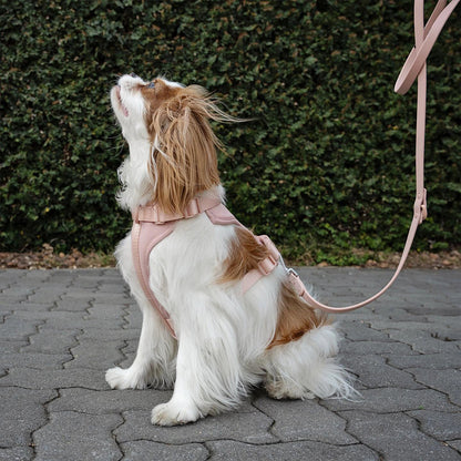 Adjustable Breathable Macaron-Colored Harness