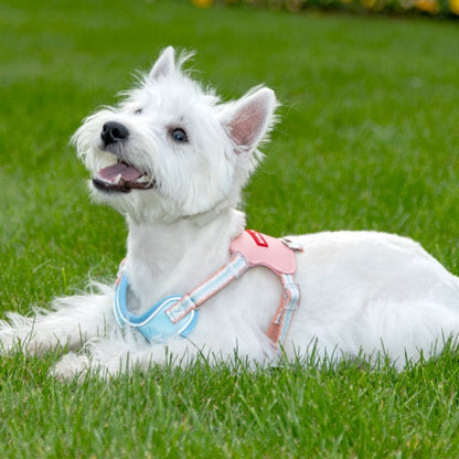 X-Shaped Cute Comfy Harness