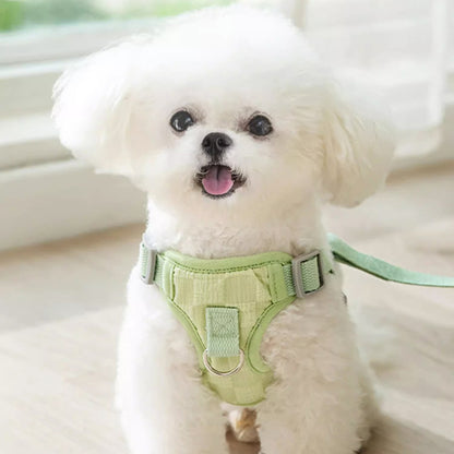 Anti-Slip Comfy Harness