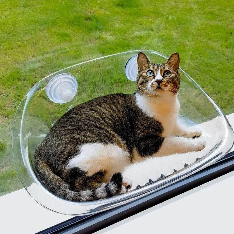 Transparent Cat Window Perch