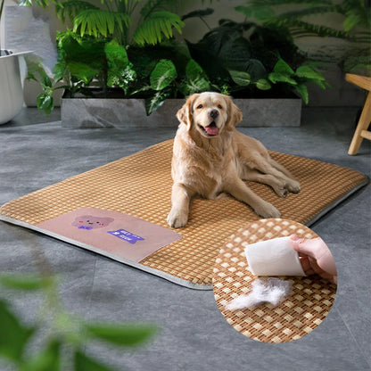 Pet Spring and Summer Cooling Mat
