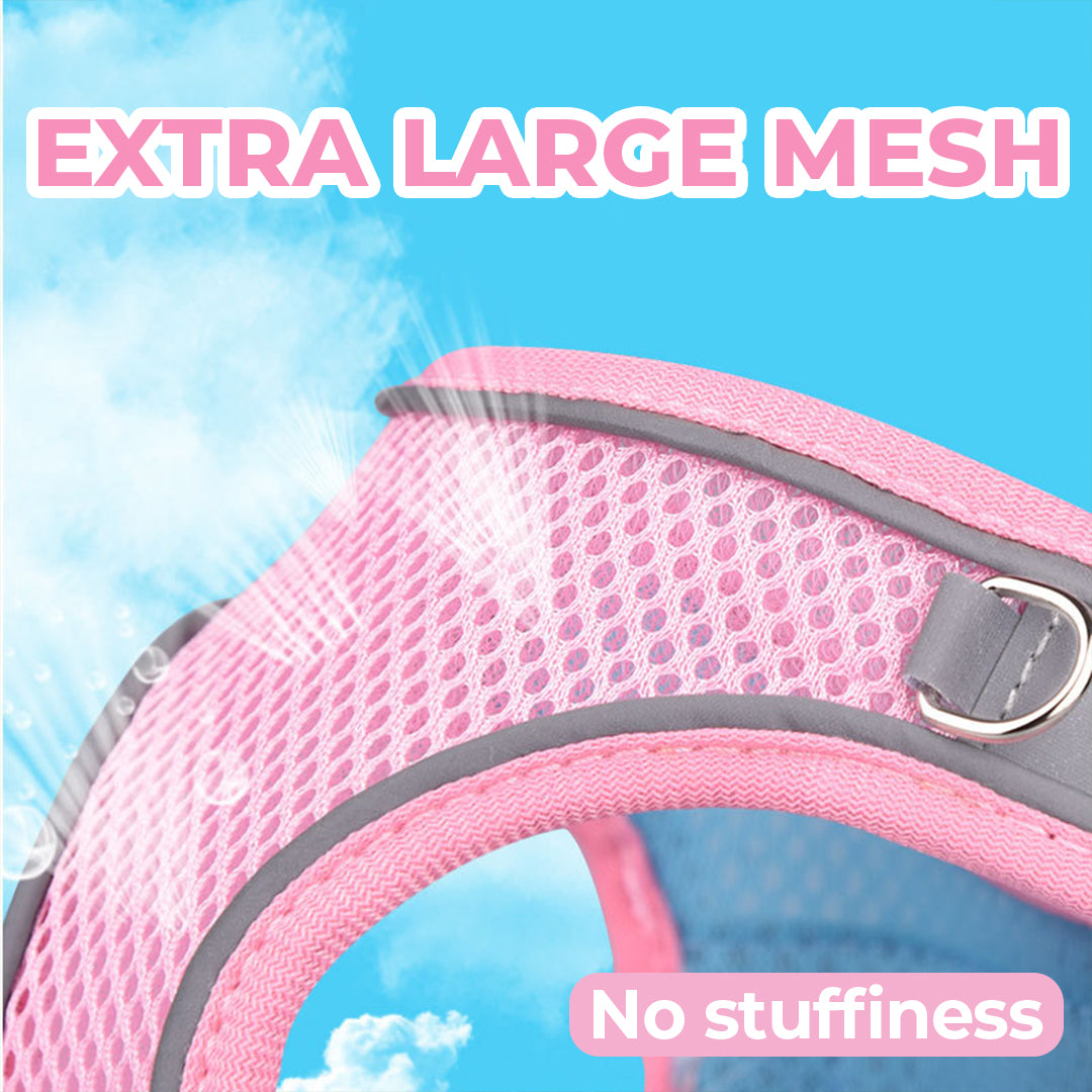 One-Piece Breathable Harness and Leash Set