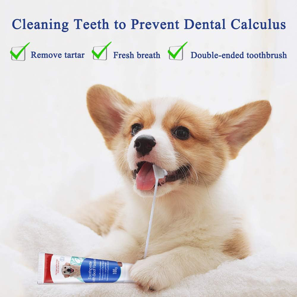 Pet Tooth Brushing Kit