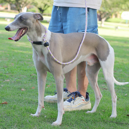 Breathable Slip Lead Dog Leash