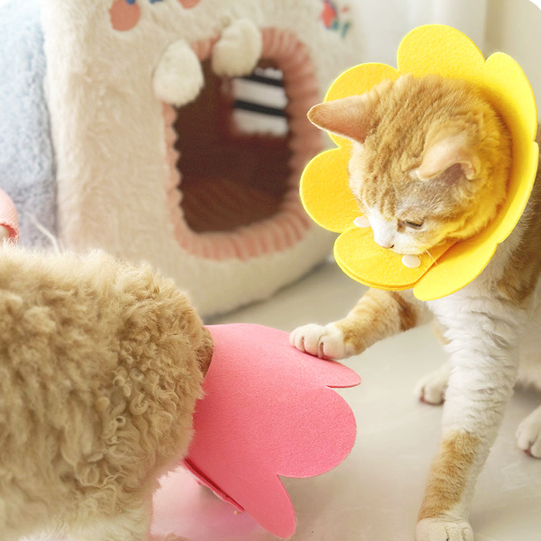 Washable Felt Pet Elizabethan Collar(2 pcs)