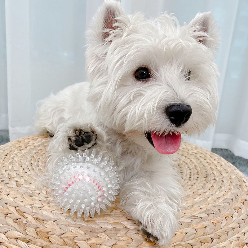 Long Lasting Spiky Chew Ball