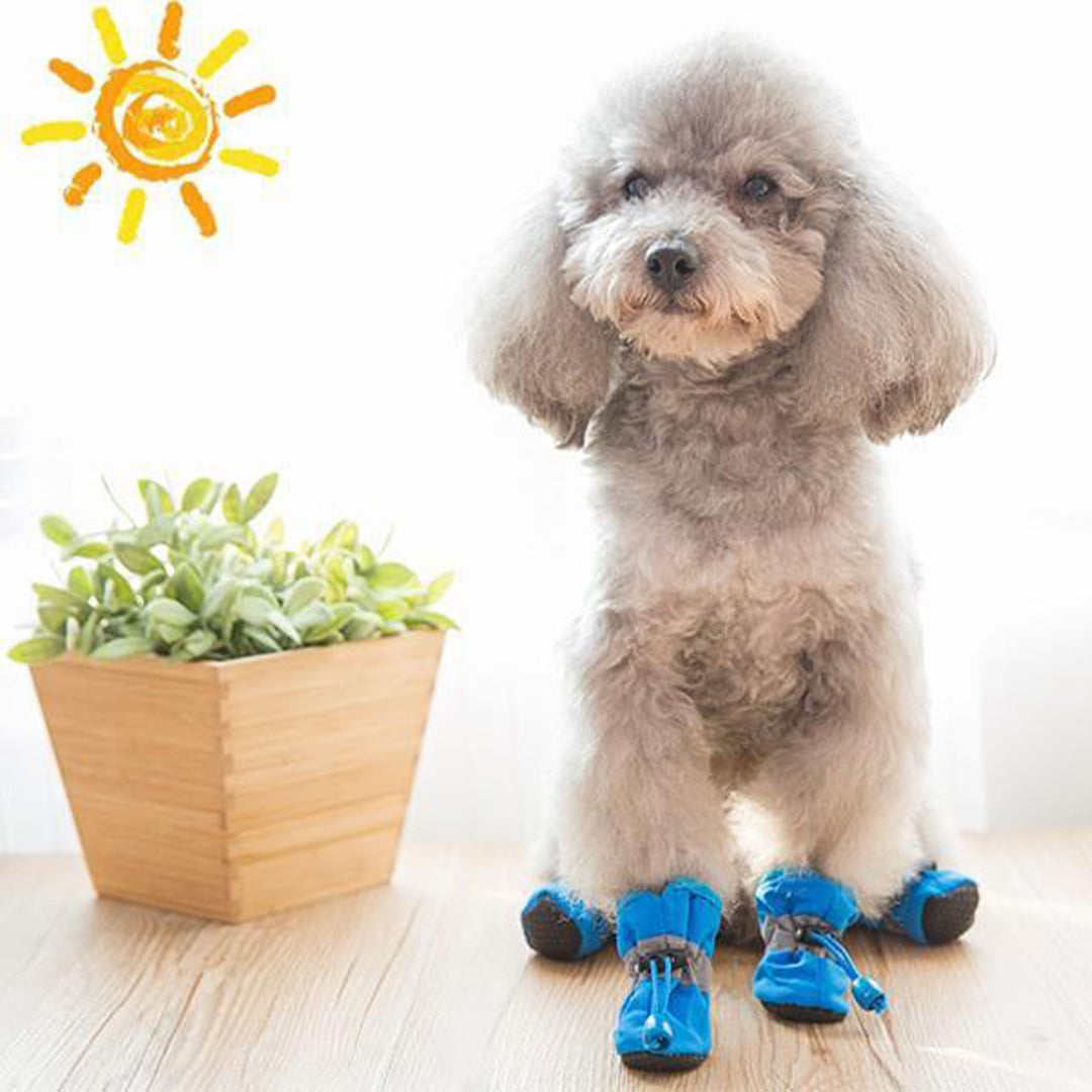 Dog Shoes for Winter