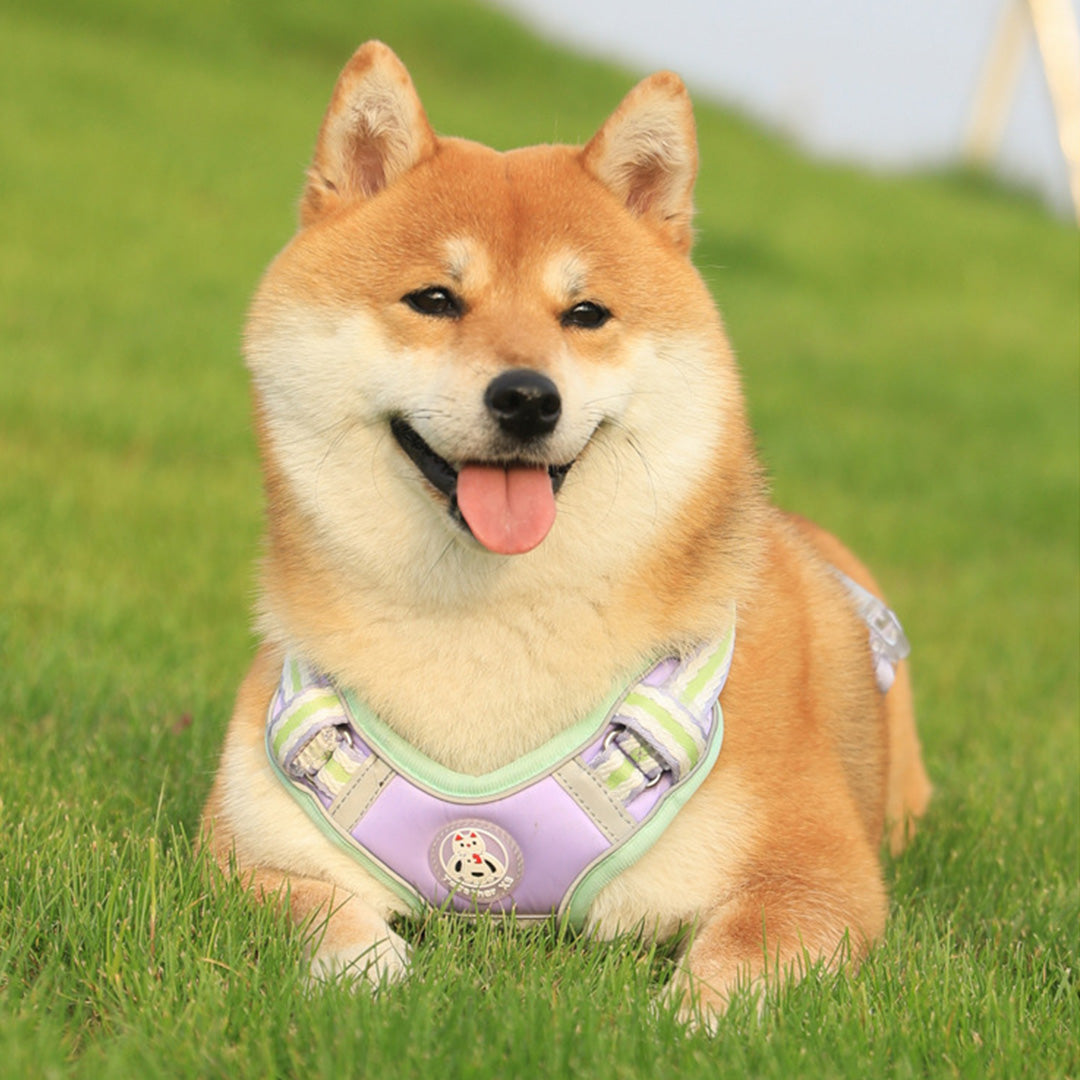 Adorable Adjustable Comfy Harness