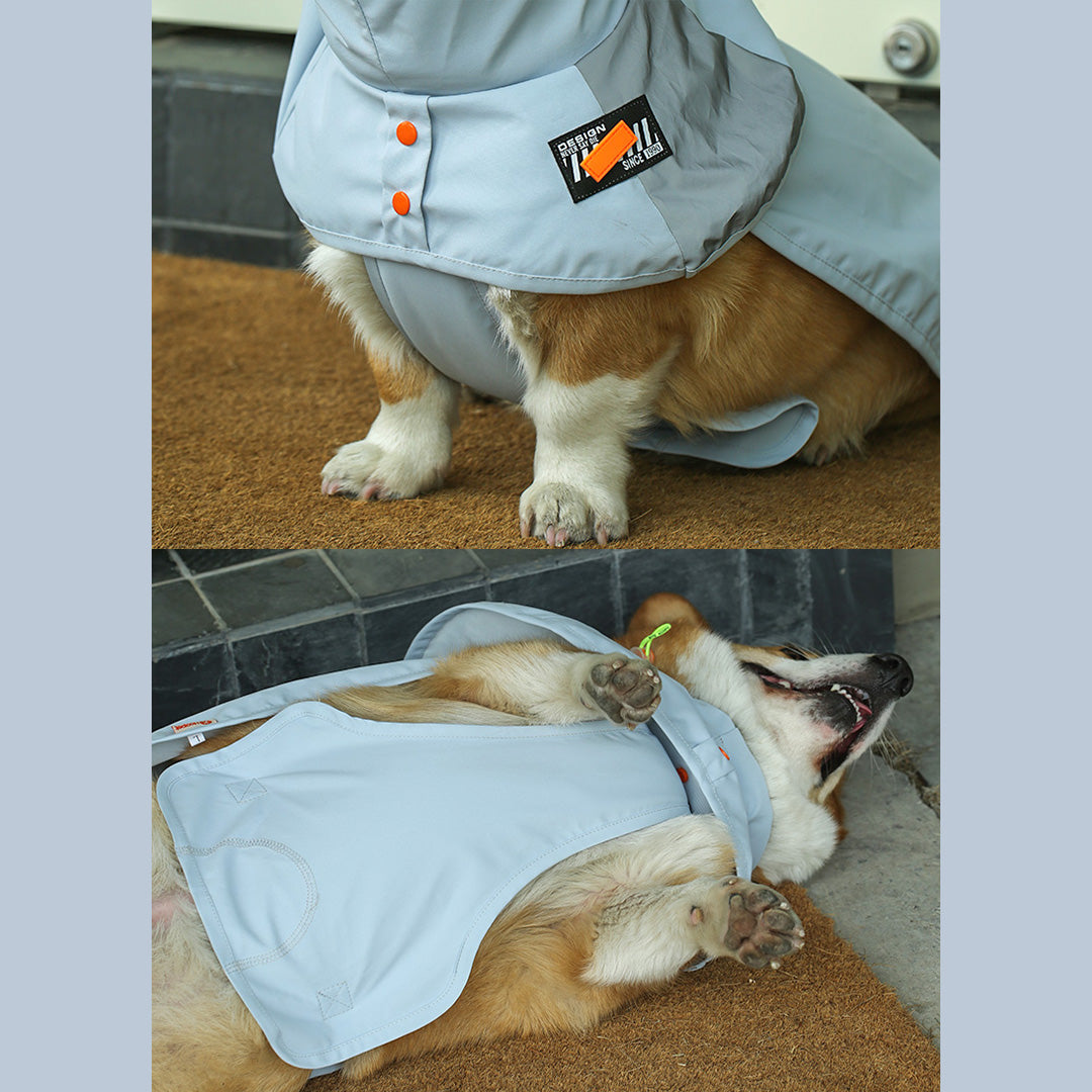 Snug Raincoat for Small to Medium Dog