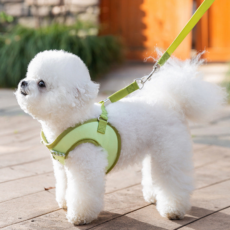 Cute Bear Breathable Harness for Small Dog