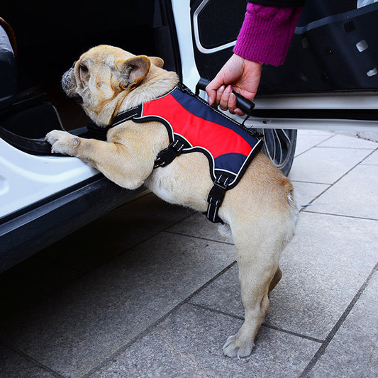 Escape Proof Reflective Dog Harness