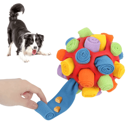 Educational Sniff and Snack Puzzle Ball for Pets