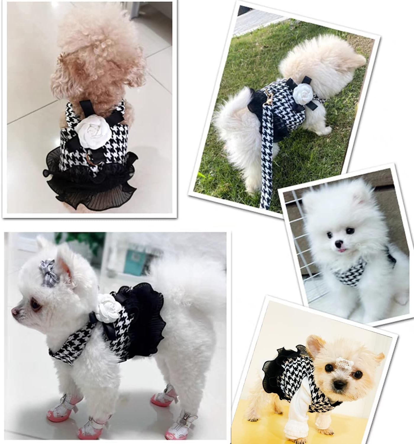 Houndstooth Harness Leash Combo