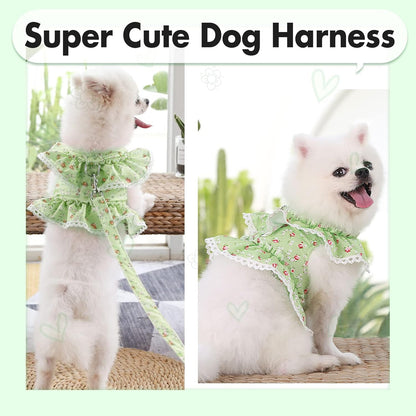 Summer Floral Lace Pet Leashable Clothing