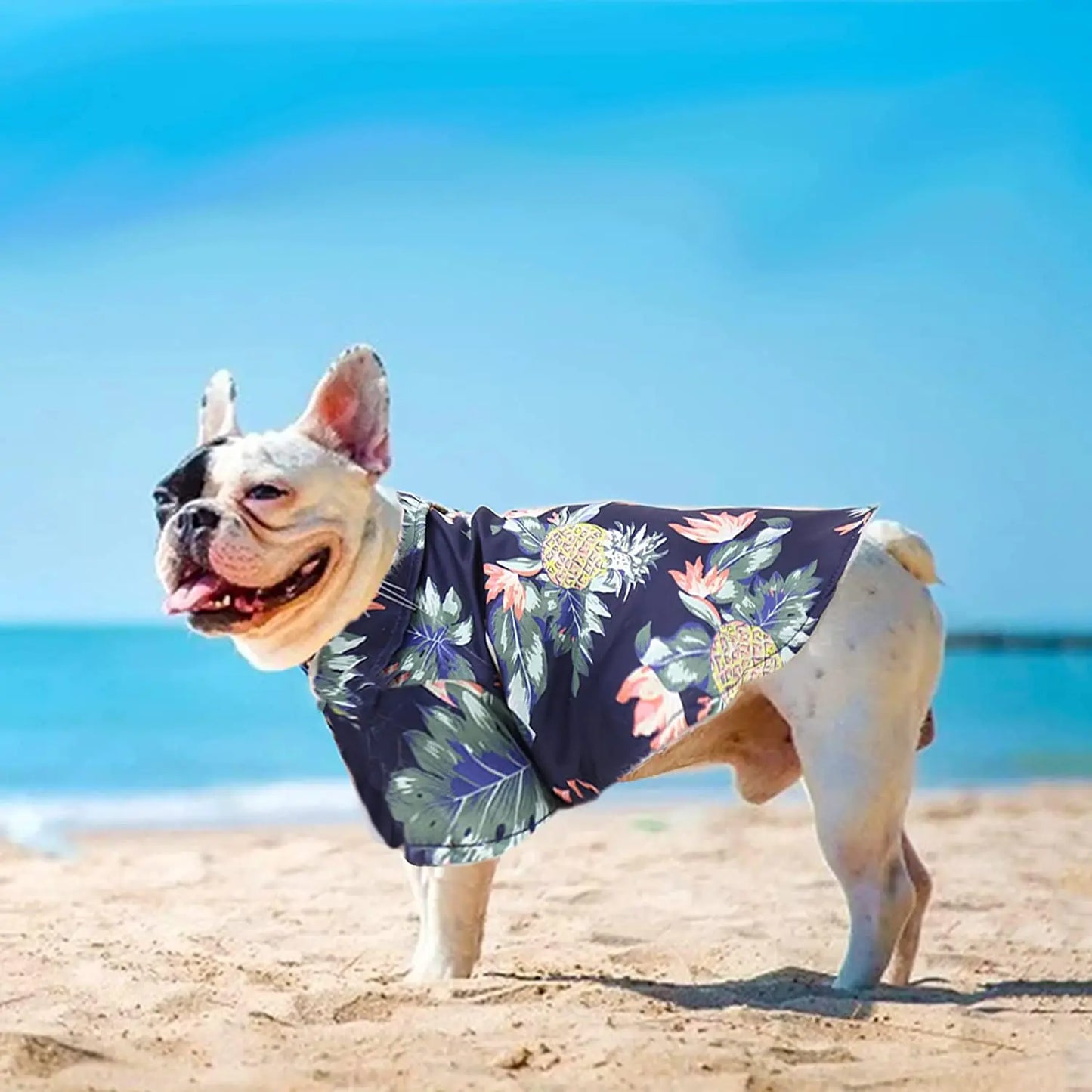 Beach Resort Style Pet Shirt