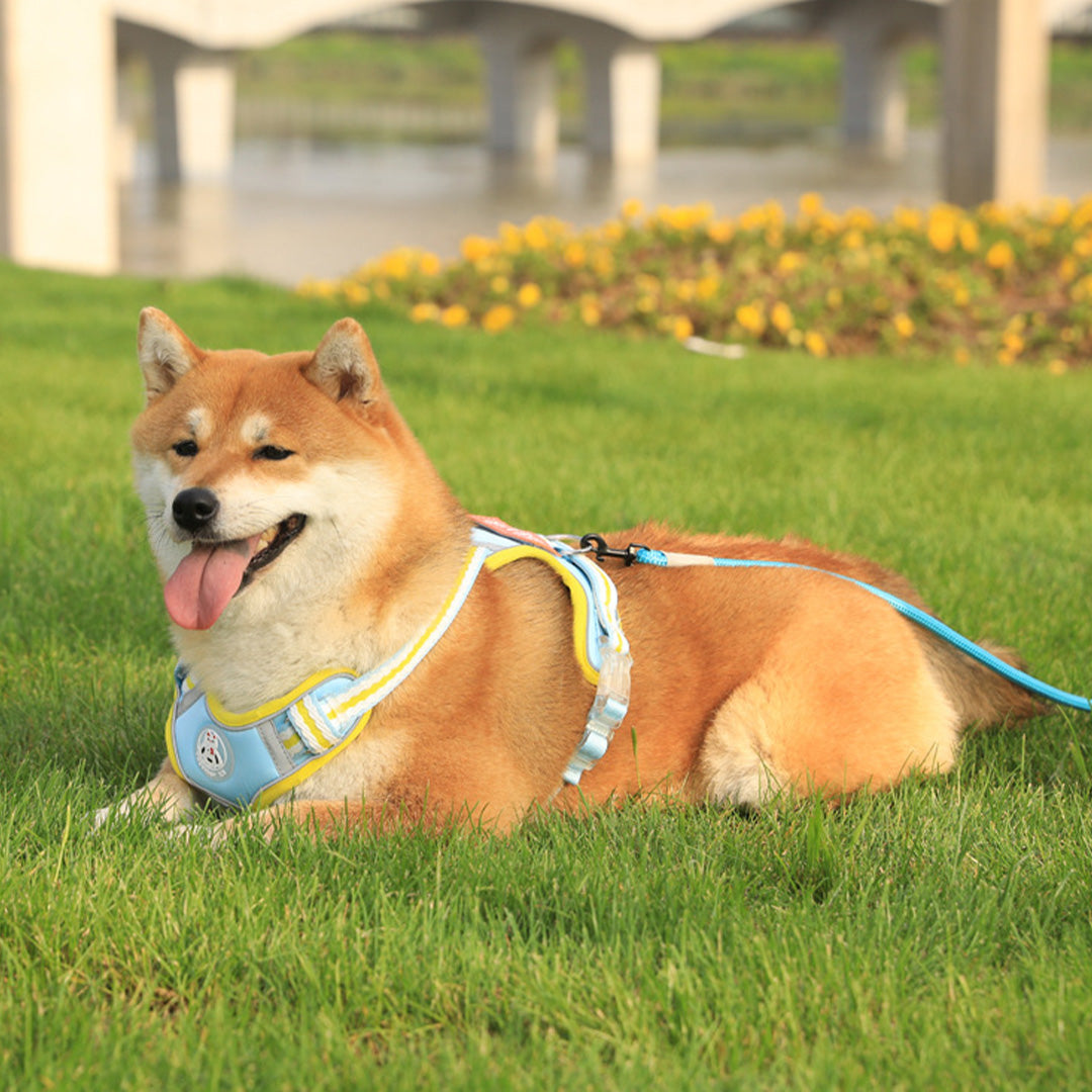 Adorable Adjustable Comfy Harness