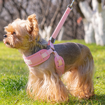 Comfy Y-Shaped Harness for Small Pets