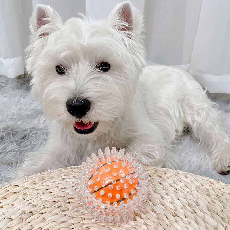 Long Lasting Spiky Chew Ball