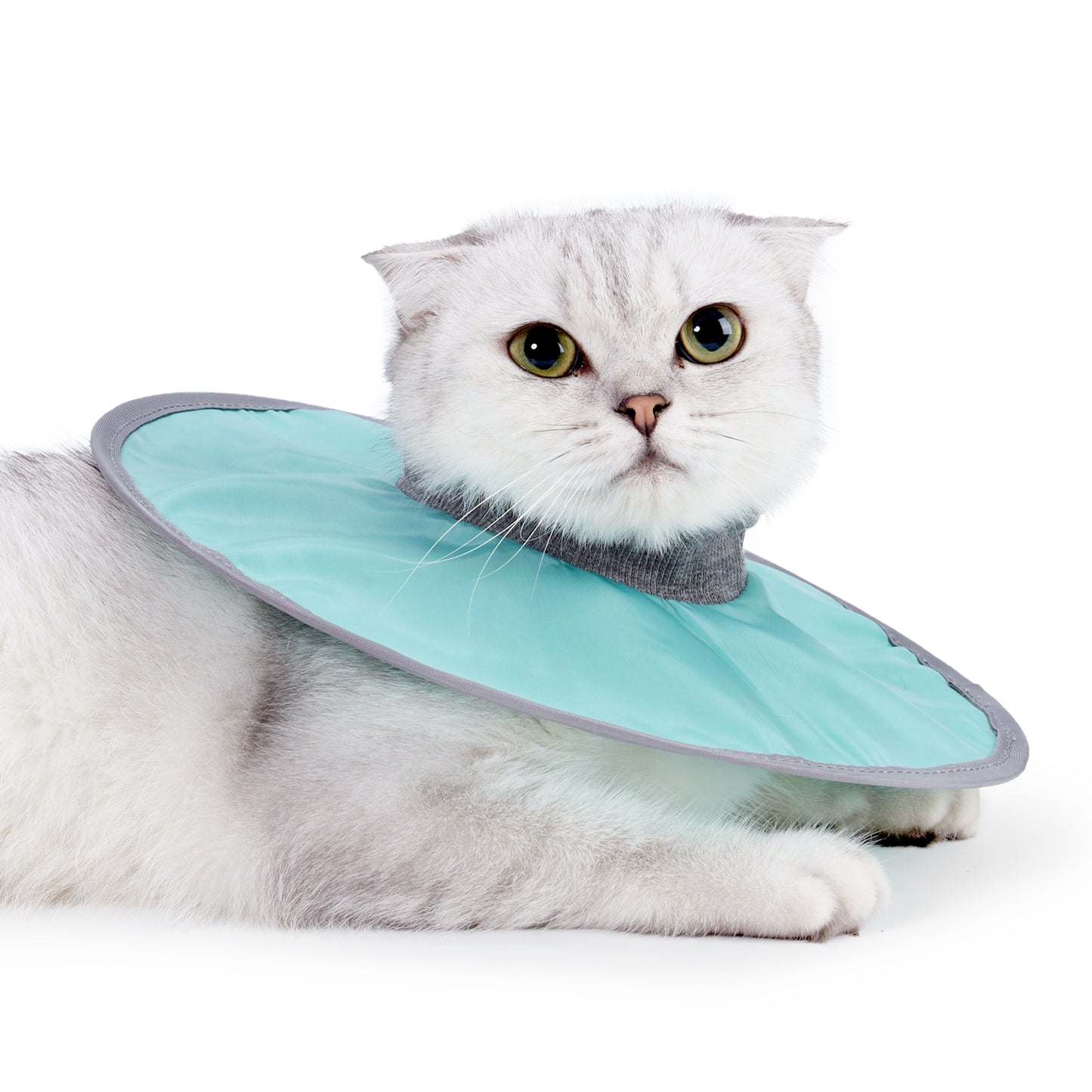 Lightweight Pet Elizabethan Collar