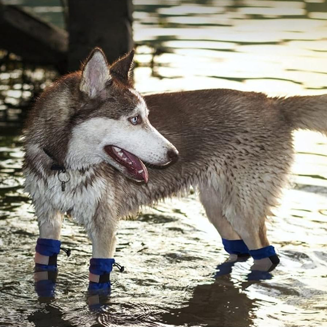 Reflective Waterproof High Dog Boots