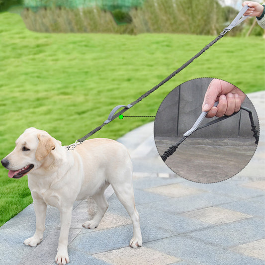 Elastic Durable Dog Leash