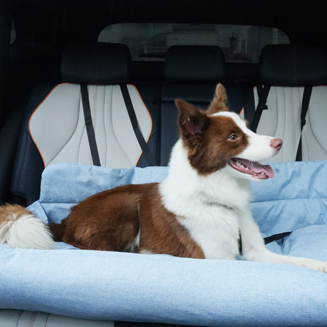 Large Dog Car Back Seat Bed