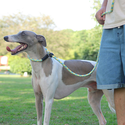 Breathable Slip Lead Dog Leash