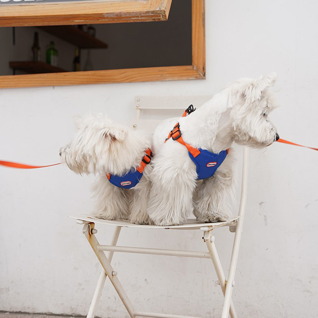 Macaron-Colored Hands-Free Harness