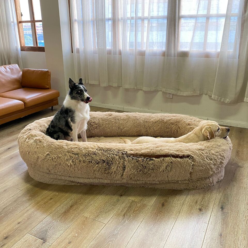 A super life dog clearance bed