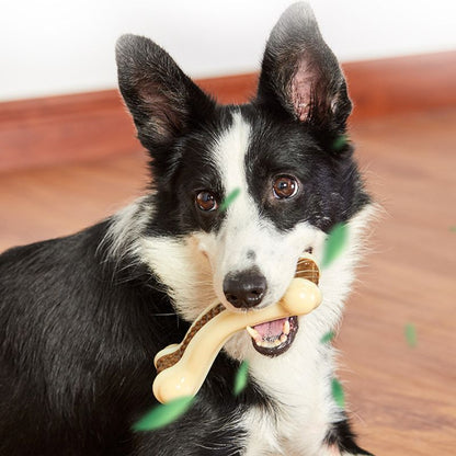 Beef Flavor Dog Teething Chew Toy