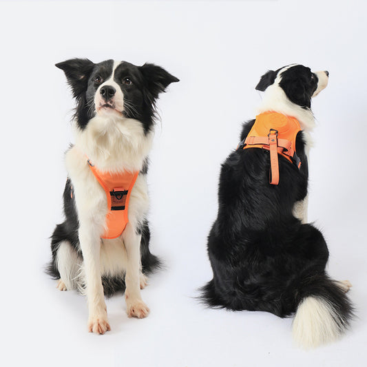 Auto-Lock Dog Harness