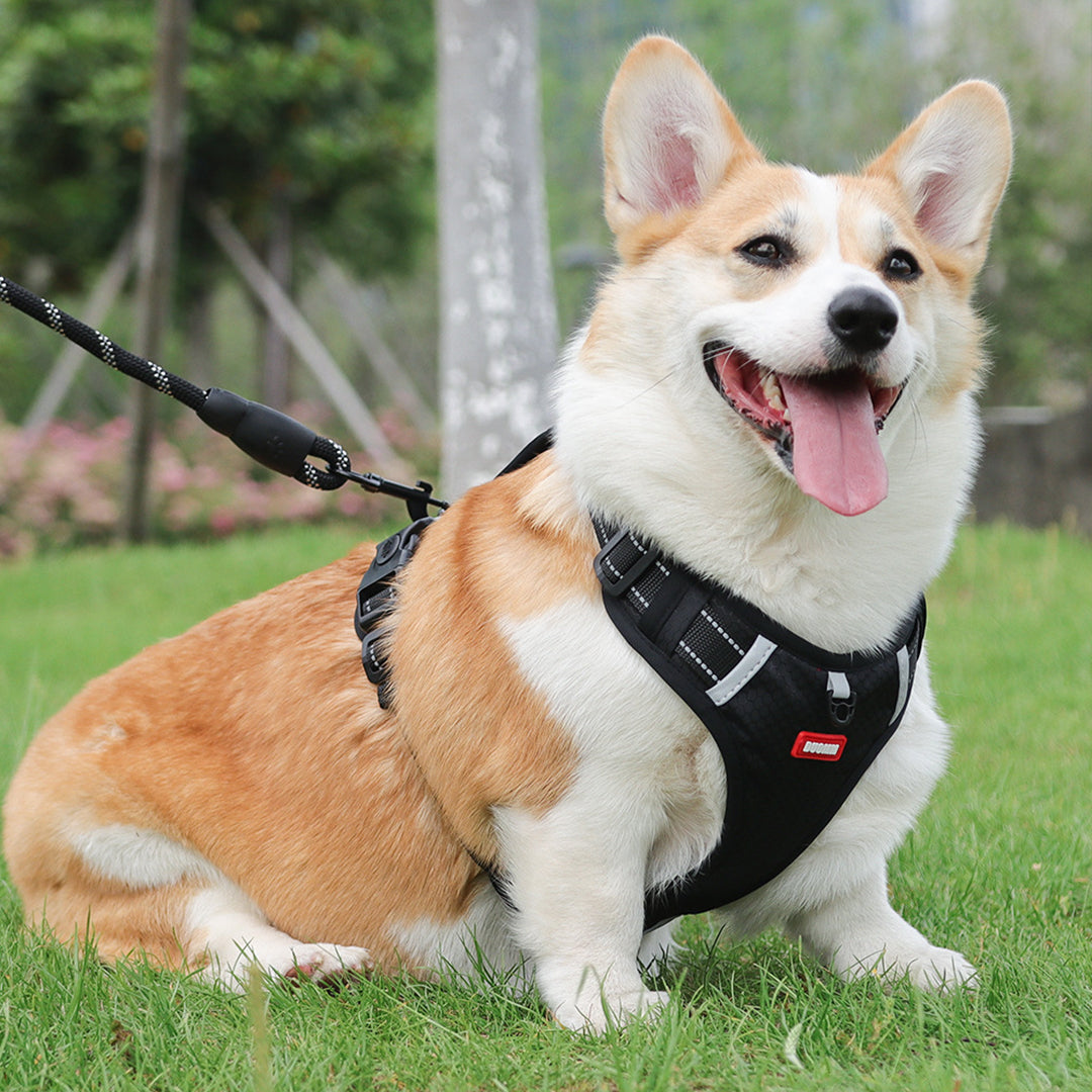 No-Pull Step-in Reflective Dog Harness